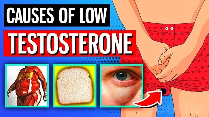 6-Alarming-Causes-Of-LOW-TESTOSTERONE-In-Men