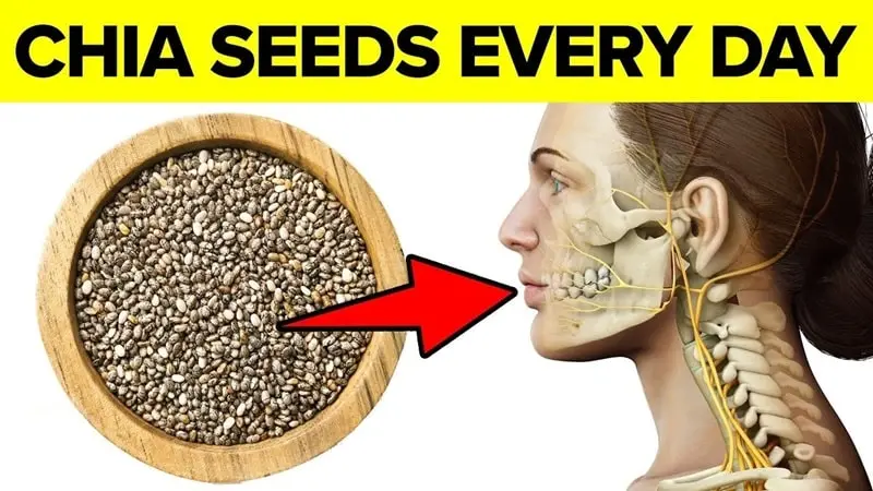 What-Happens-To-Your-Body-When-You-Eat-Chia-Seeds-Every-Day