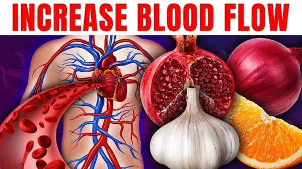 13 TOP Foods To Increase Your BLOOD FLOW & Circulation
