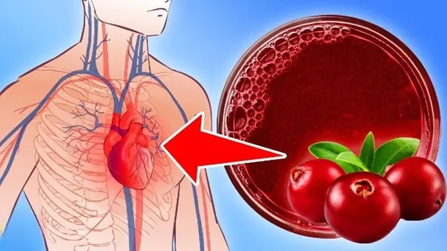 15 Benefits of Drinking Cranberry Juice Every Day